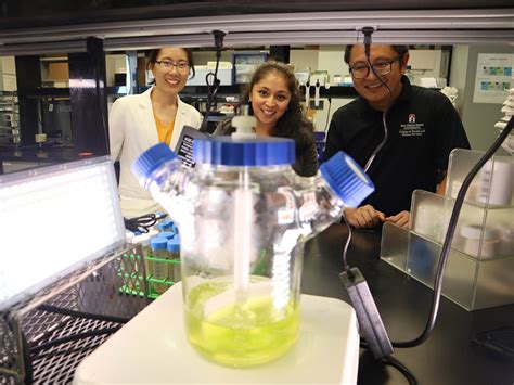 Space guacamole -- coming to an orbit near you, thanks to SDSU researchers